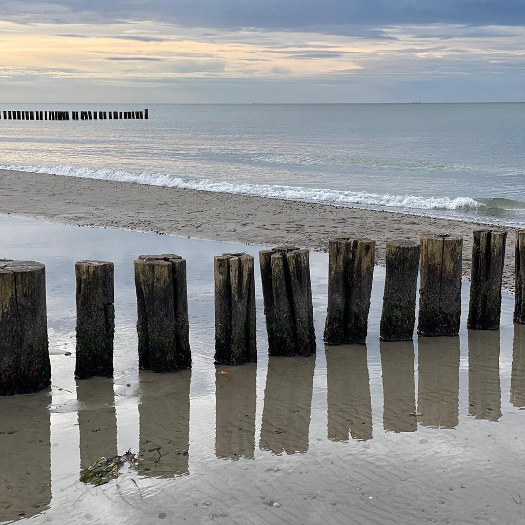 SEO Beratung in Rostock und Umgebung mit maritimen Flair